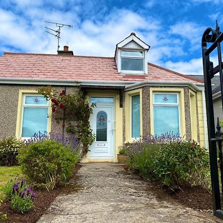Rose Cottage: Delightful 4 Bedroom Detached Home بورتراش المظهر الخارجي الصورة